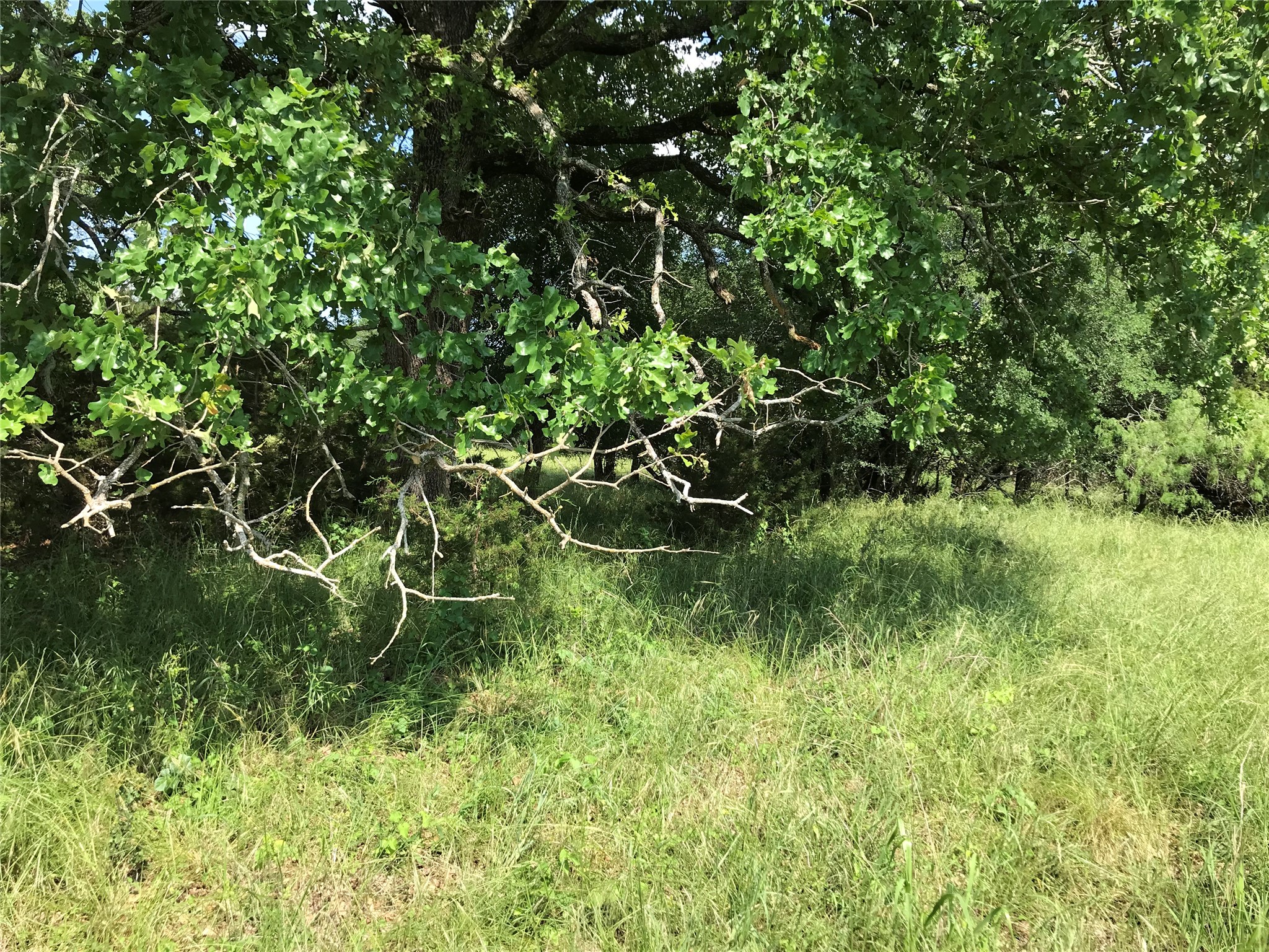 17061 Trailwood Drive Whitney TX 76692