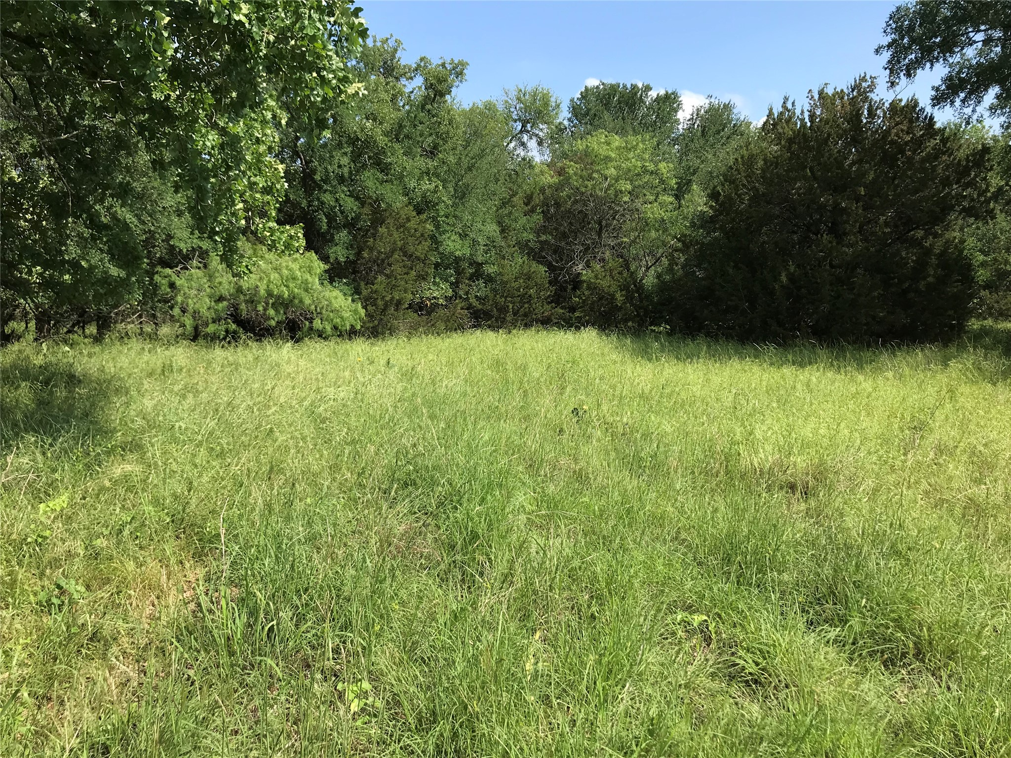 17061 Trailwood Drive Whitney TX 76692