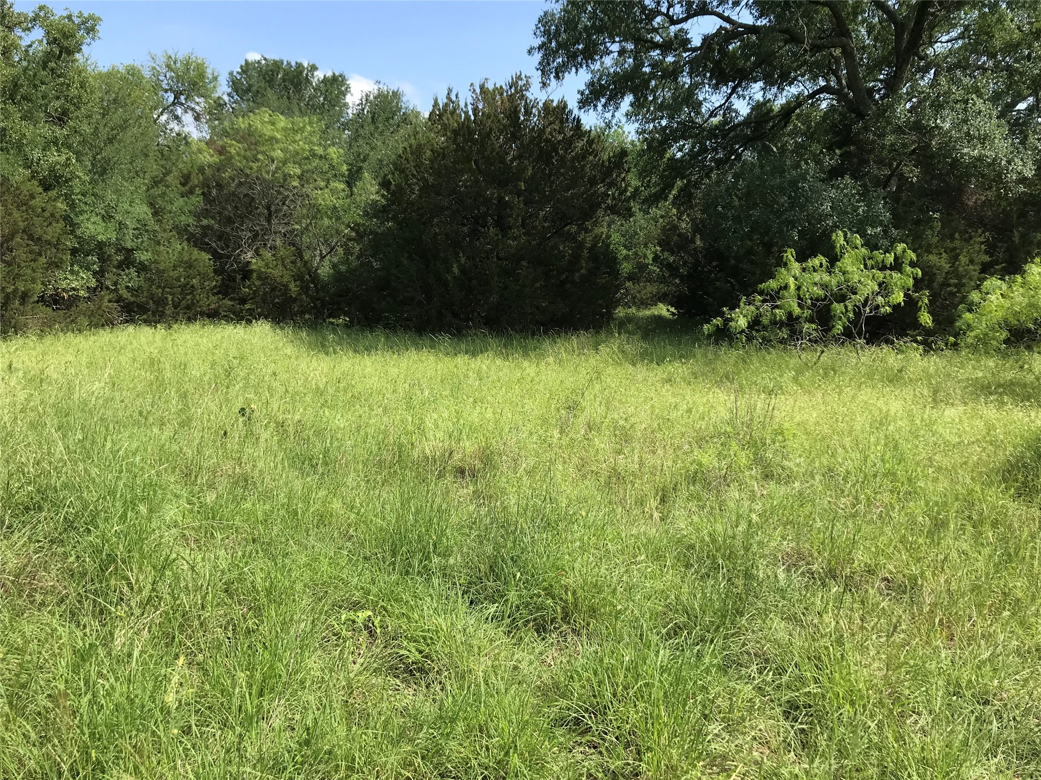 17061 Trailwood Drive Whitney TX 76692