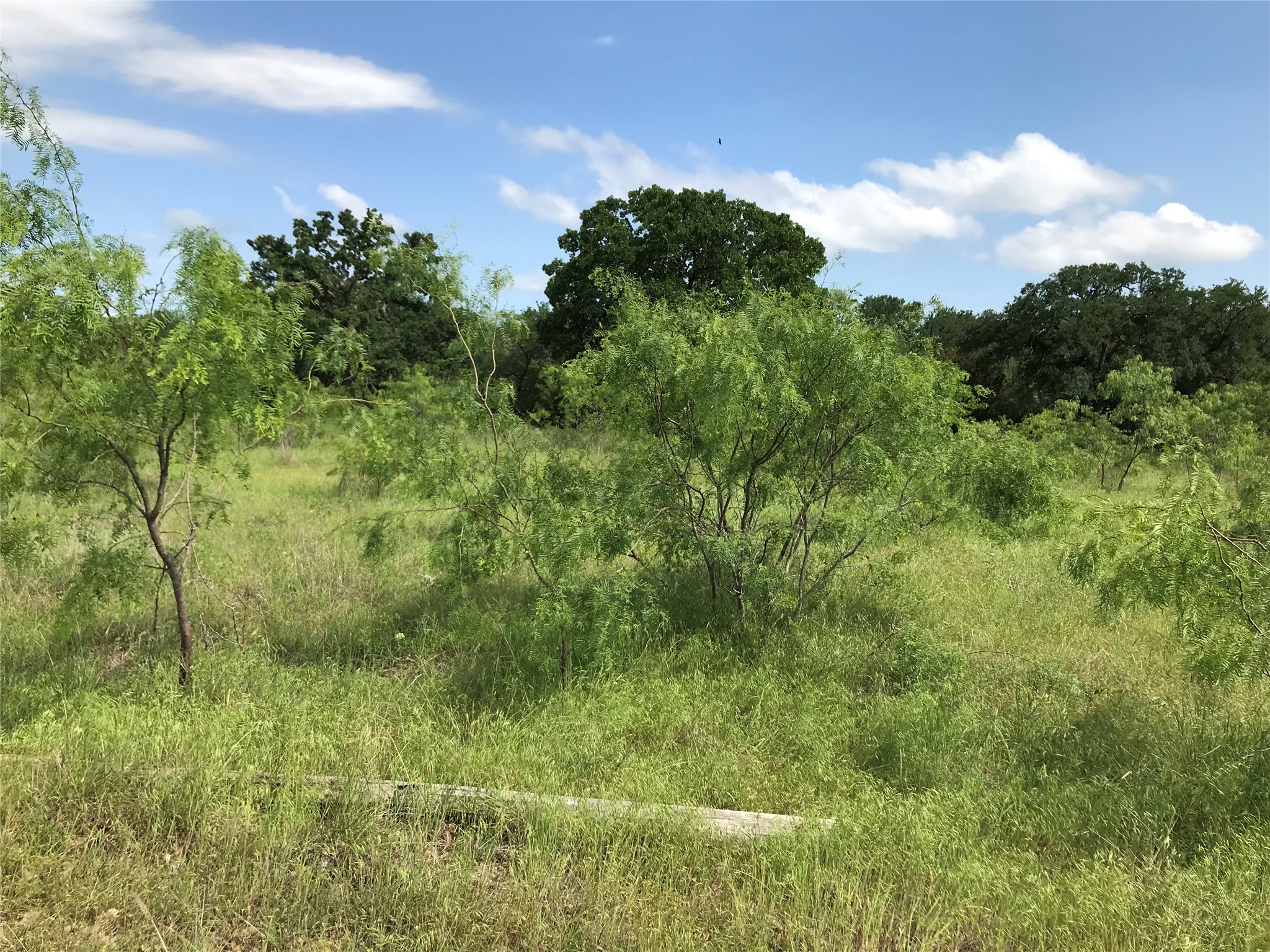 17061 Trailwood Drive Whitney TX 76692
