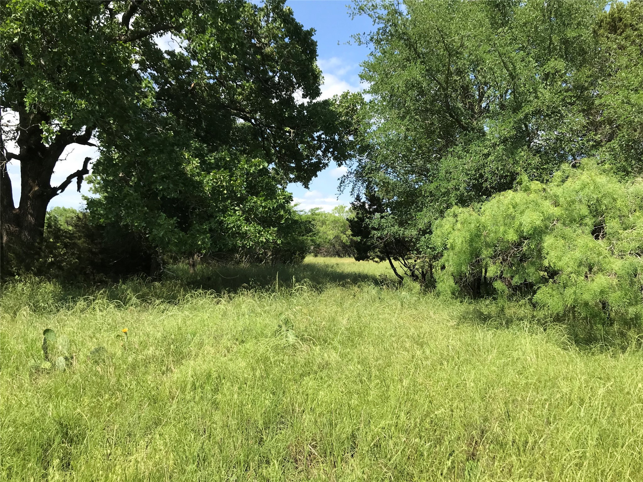 17061 Trailwood Drive Whitney TX 76692