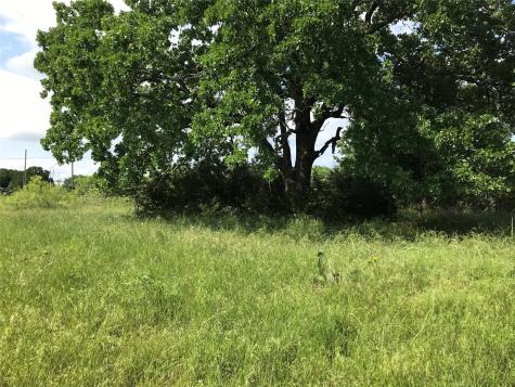 17061 Trailwood Drive Whitney TX 76692