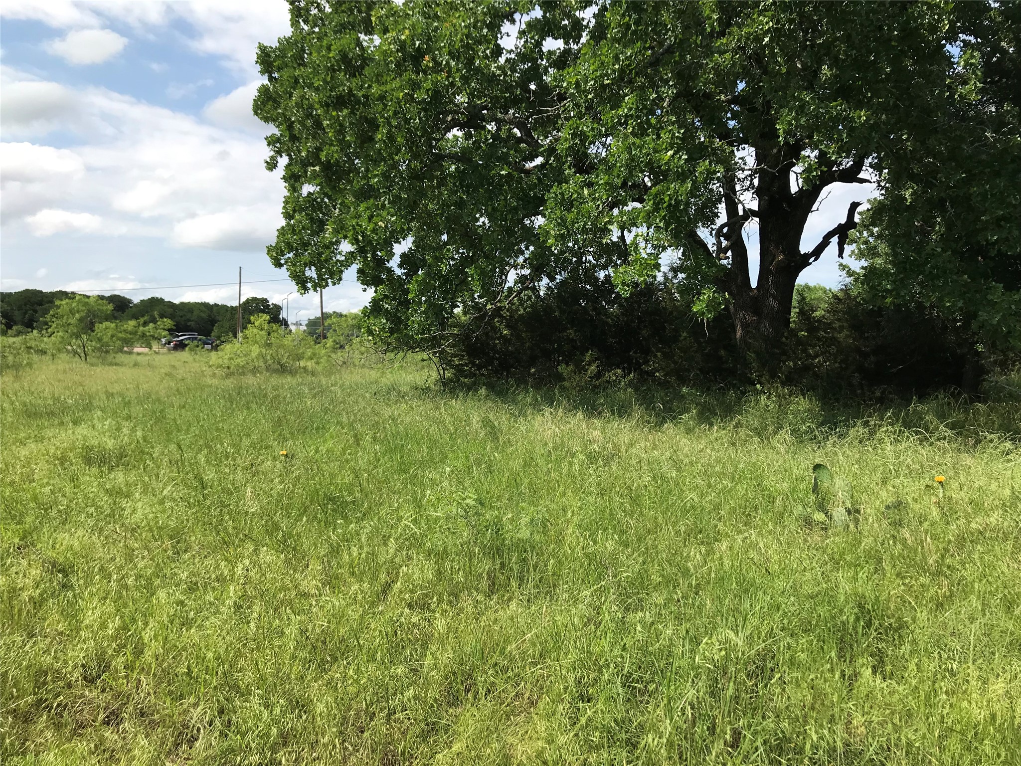 17061 Trailwood Drive Whitney TX 76692