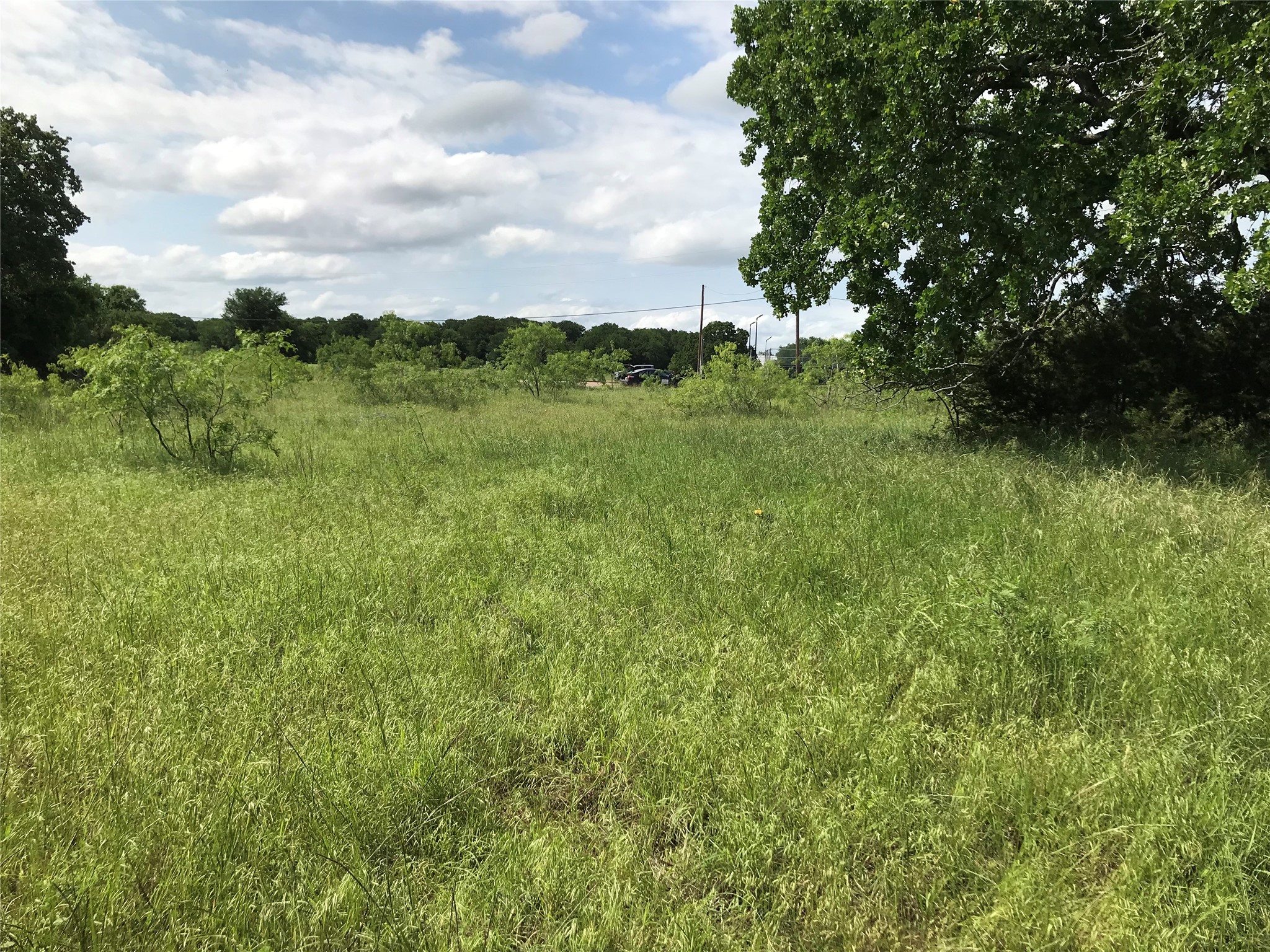 17061 Trailwood Drive Whitney TX 76692
