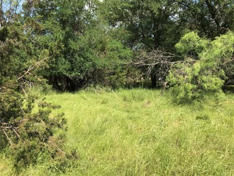 17061 Trailwood Drive Whitney TX 76692