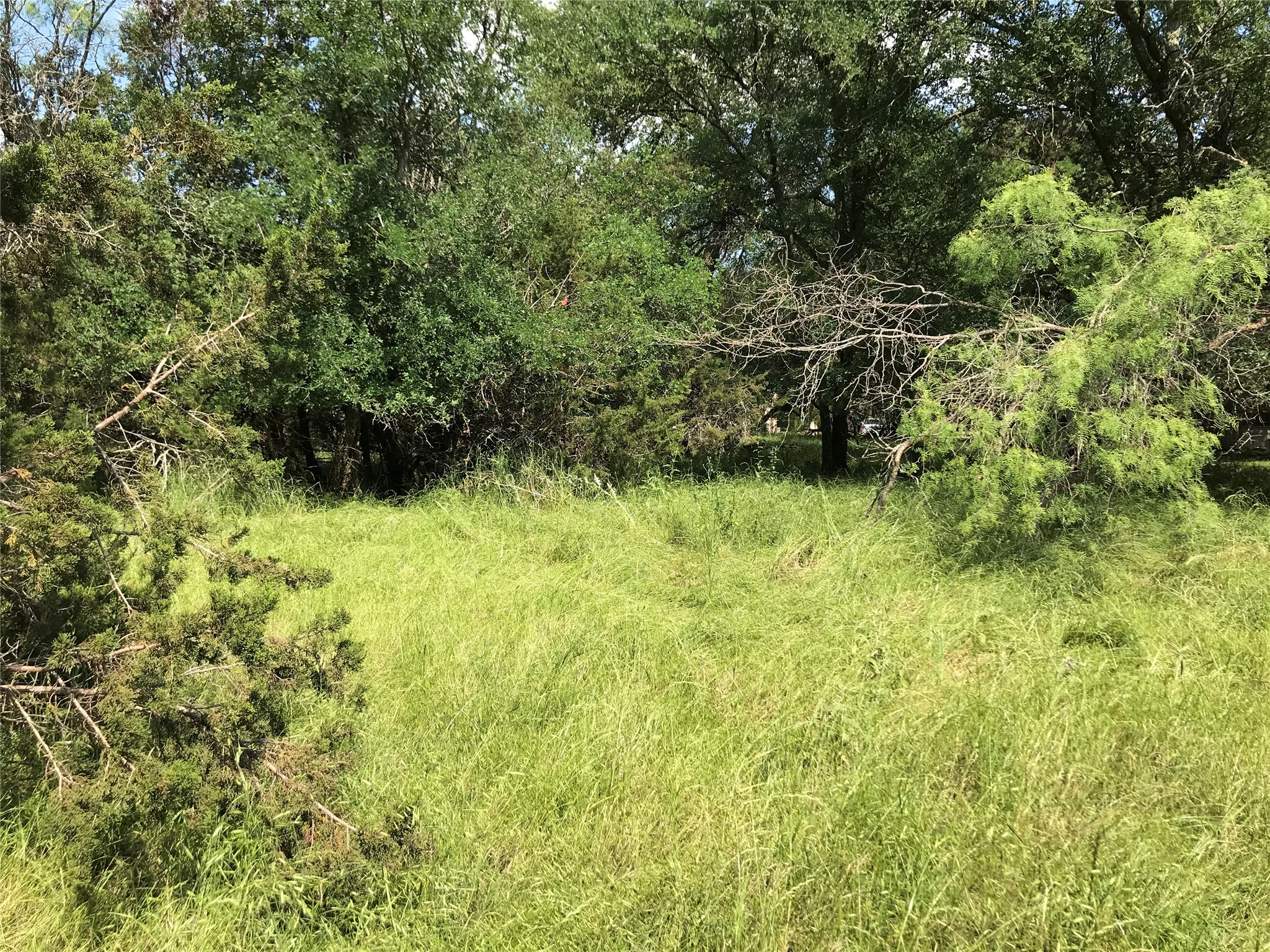 17061 Trailwood Drive Whitney TX 76692