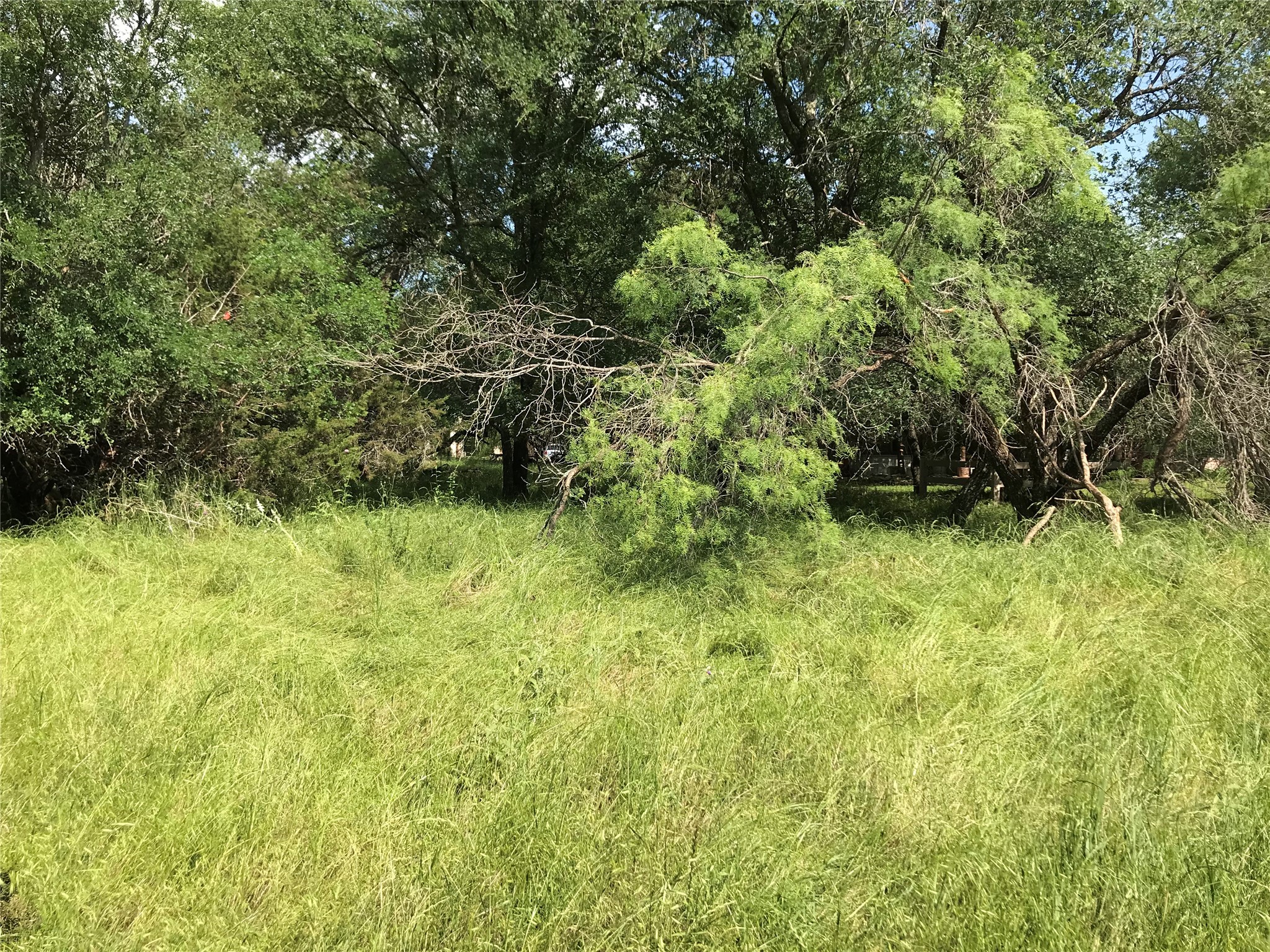 17061 Trailwood Drive Whitney TX 76692