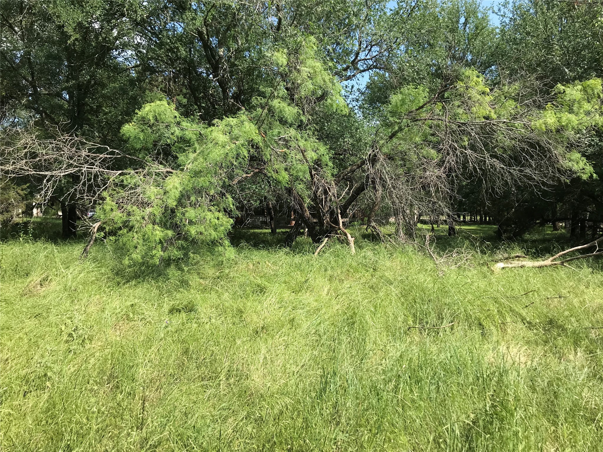 17061 Trailwood Drive Whitney TX 76692