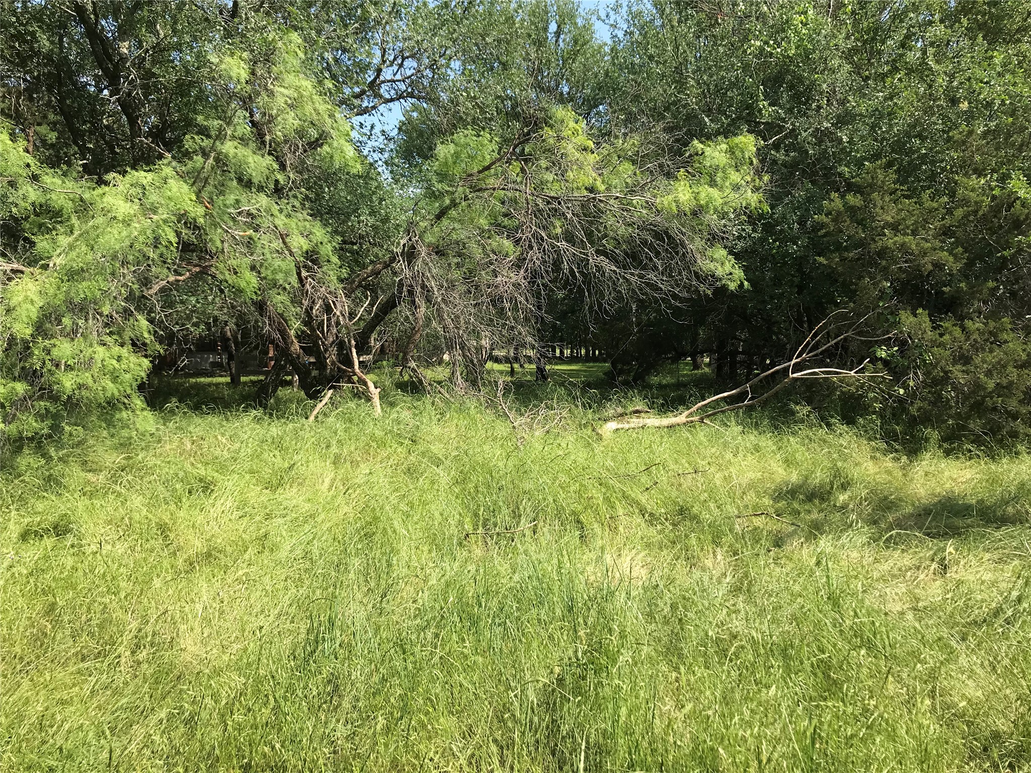 17061 Trailwood Drive Whitney TX 76692