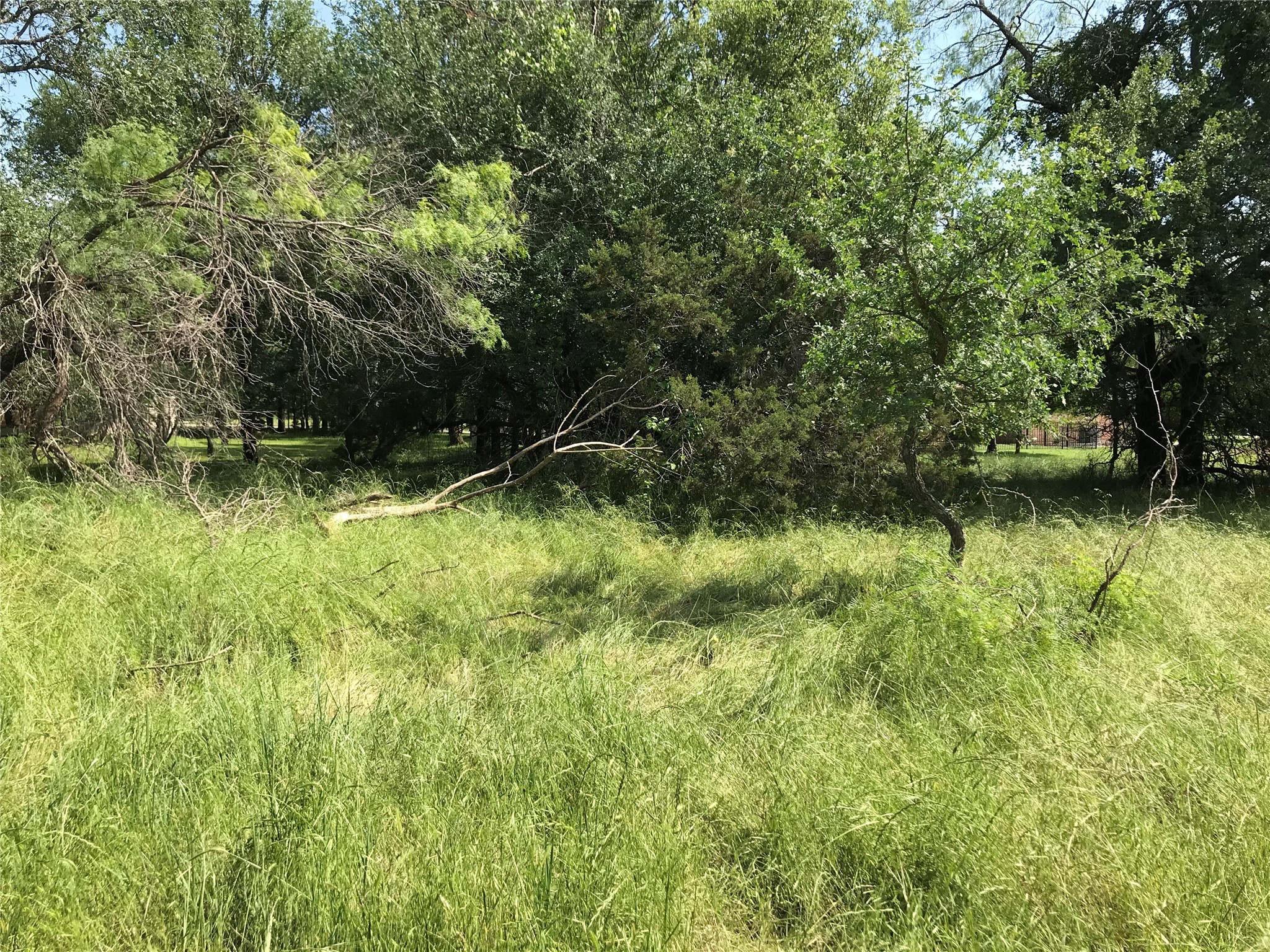 17061 Trailwood Drive Whitney TX 76692