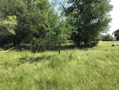 17061 Trailwood Drive Whitney TX 76692