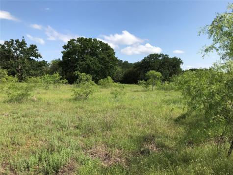 17061 Trailwood Drive Whitney TX 76692