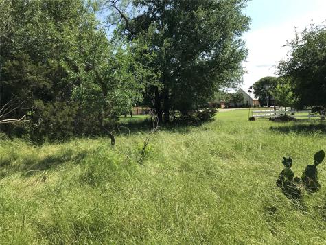 17061 Trailwood Drive Whitney TX 76692
