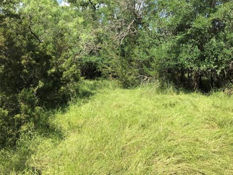 17061 Trailwood Drive Whitney TX 76692