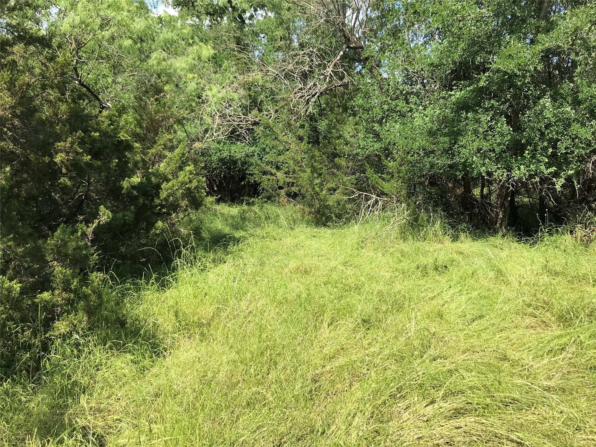 17061 Trailwood Drive Whitney TX 76692