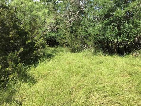 17061 Trailwood Drive Whitney TX 76692