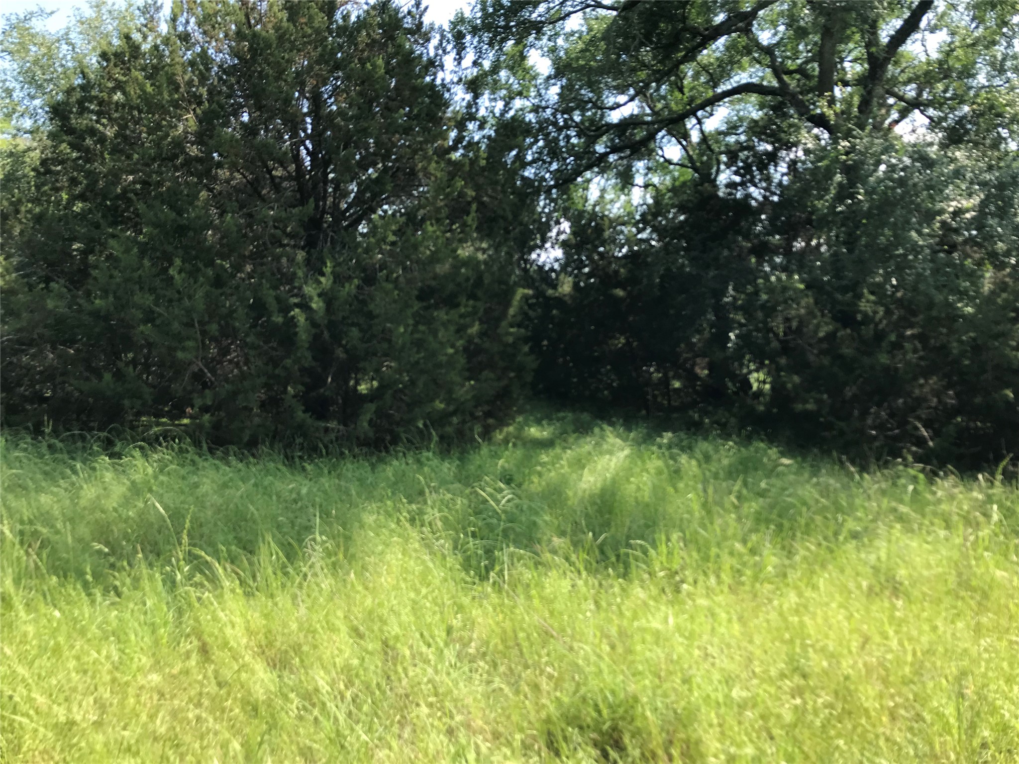 17061 Trailwood Drive Whitney TX 76692