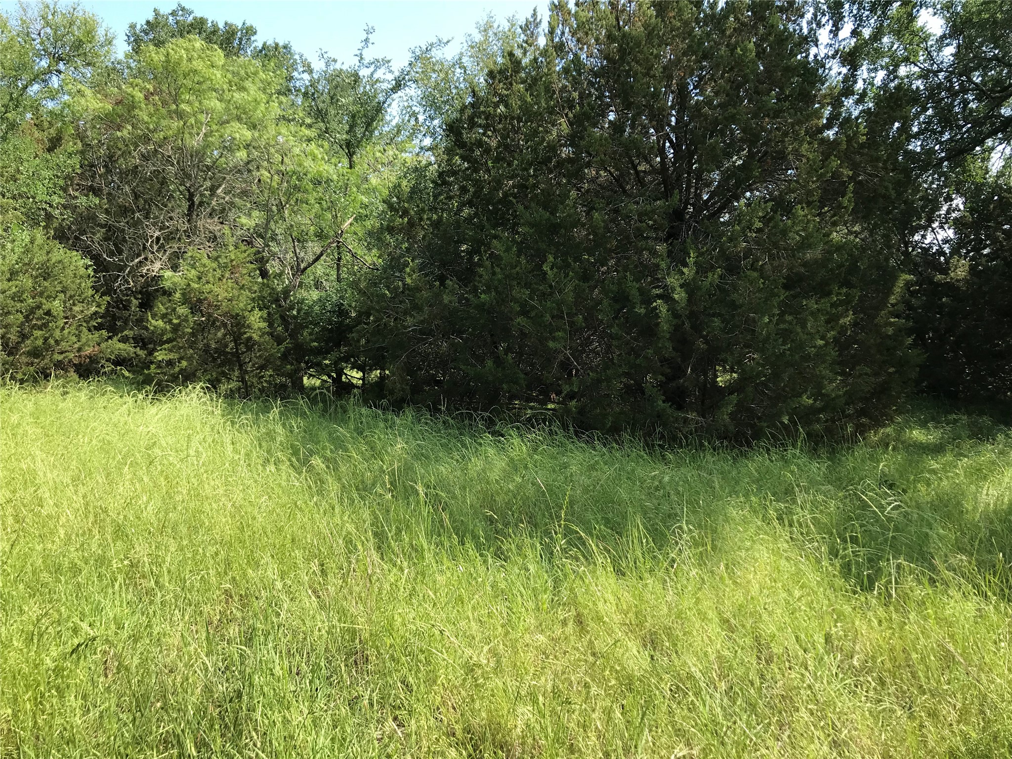 17061 Trailwood Drive Whitney TX 76692