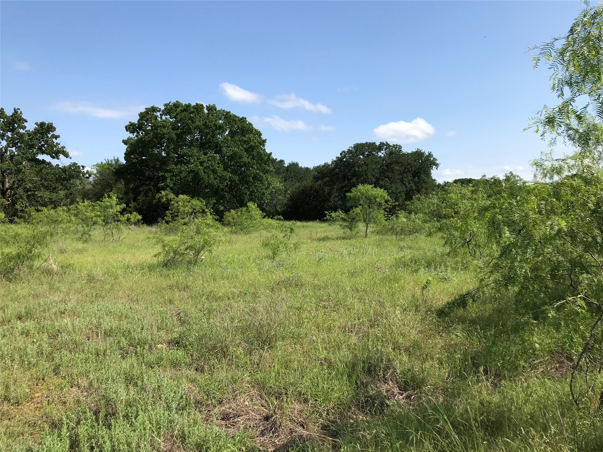 17061 Trailwood Drive Whitney TX 76692