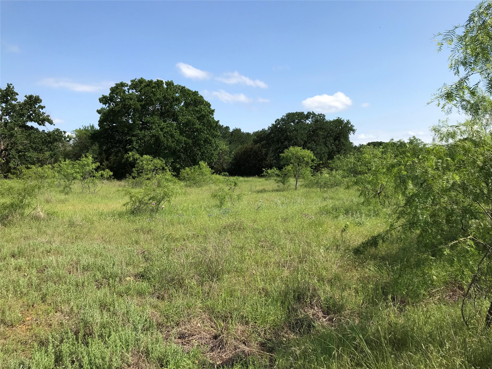 17061 Trailwood Drive Whitney TX 76692