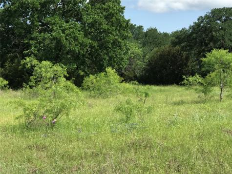 17061 Trailwood Drive Whitney TX 76692