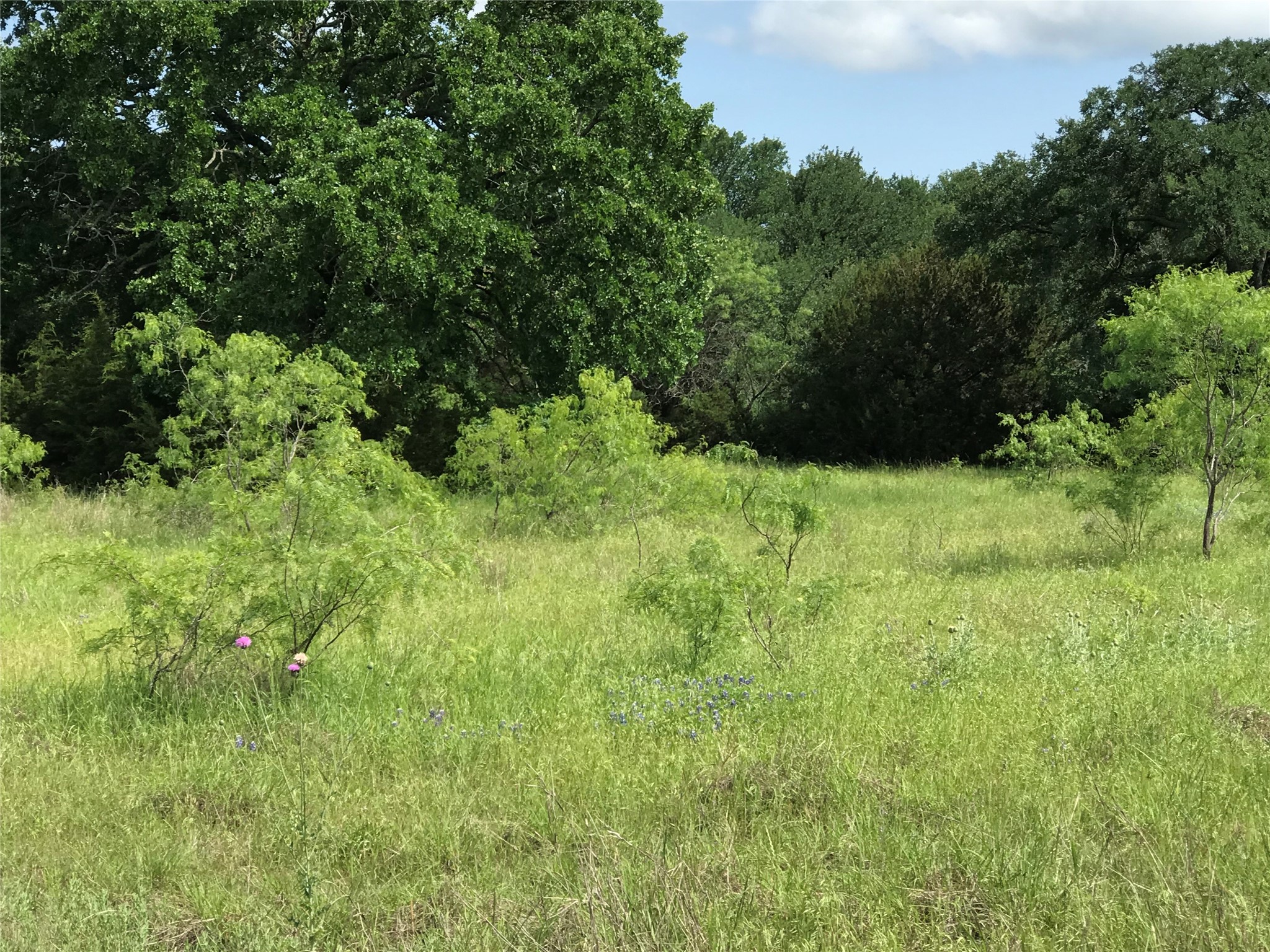 17061 Trailwood Drive Whitney TX 76692