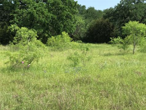 17061 Trailwood Drive Whitney TX 76692