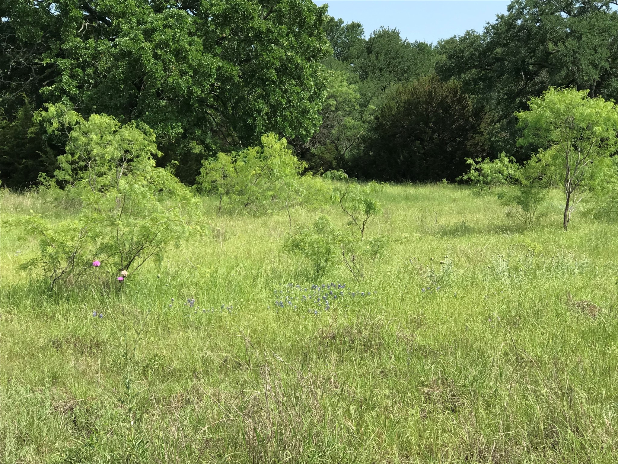17061 Trailwood Drive Whitney TX 76692