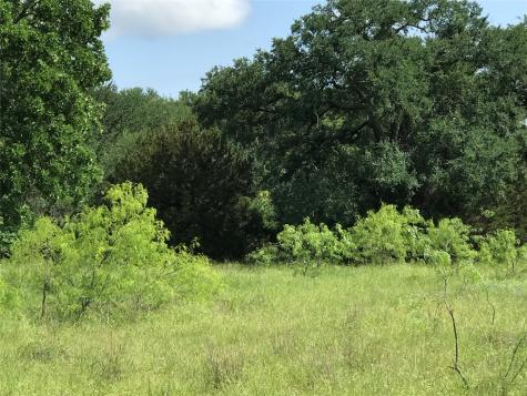 17061 Trailwood Drive Whitney TX 76692
