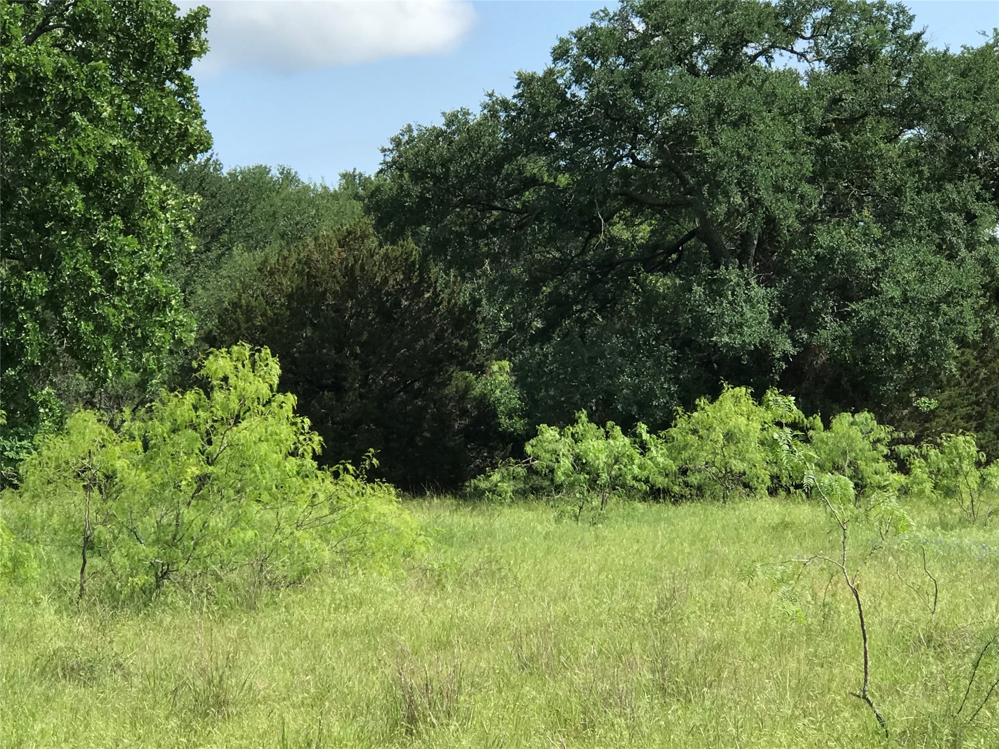 17061 Trailwood Drive Whitney TX 76692