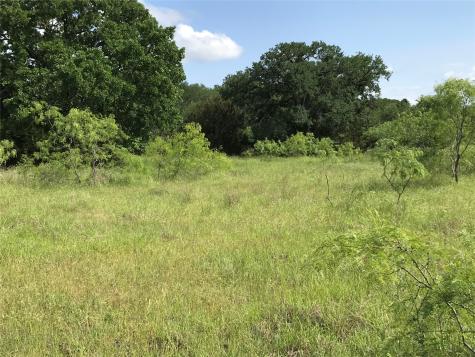 17061 Trailwood Drive Whitney TX 76692