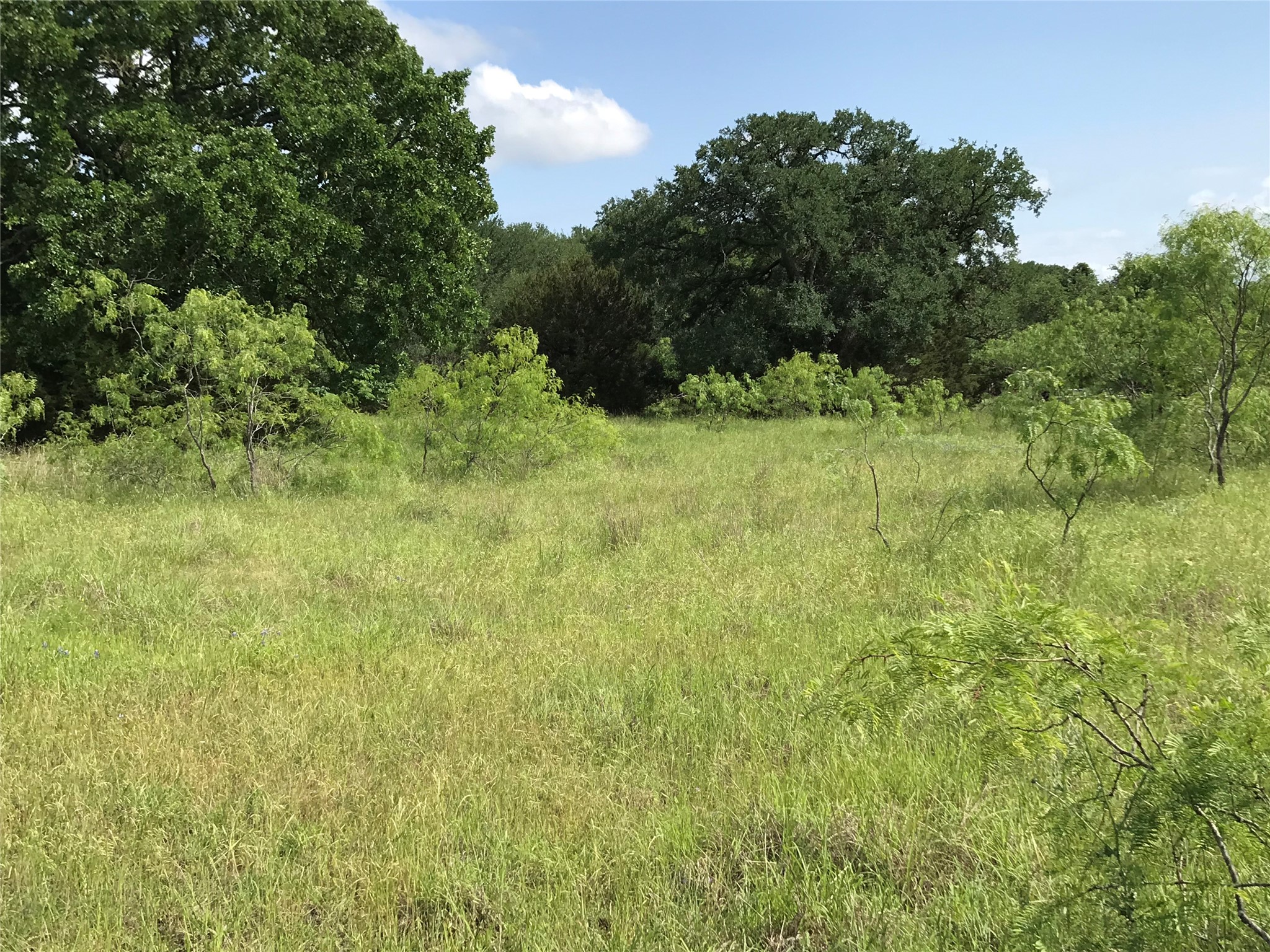 17061 Trailwood Drive Whitney TX 76692