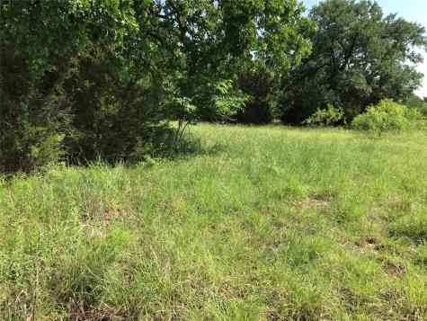 17061 Trailwood Drive Whitney TX 76692