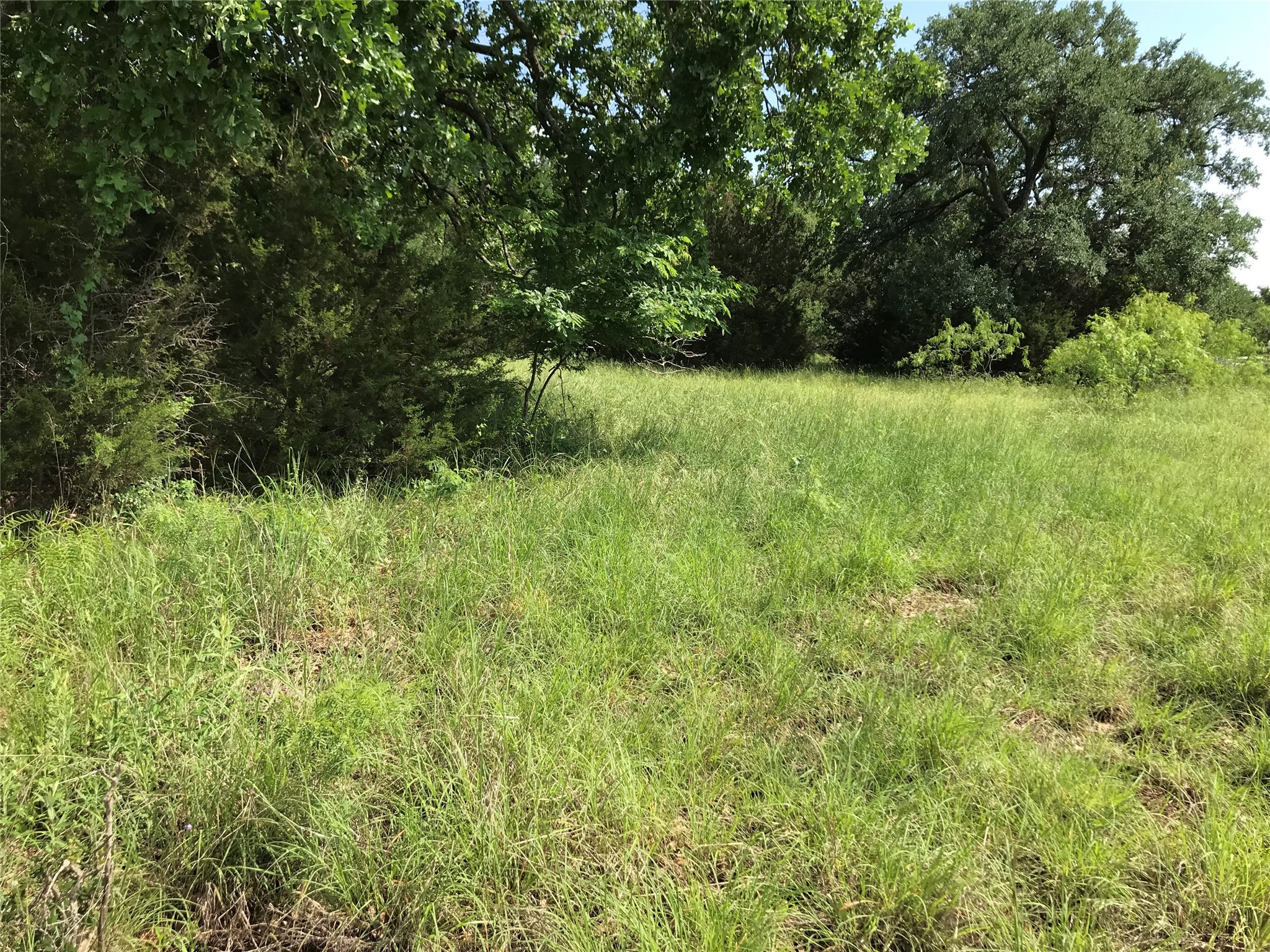 17061 Trailwood Drive Whitney TX 76692