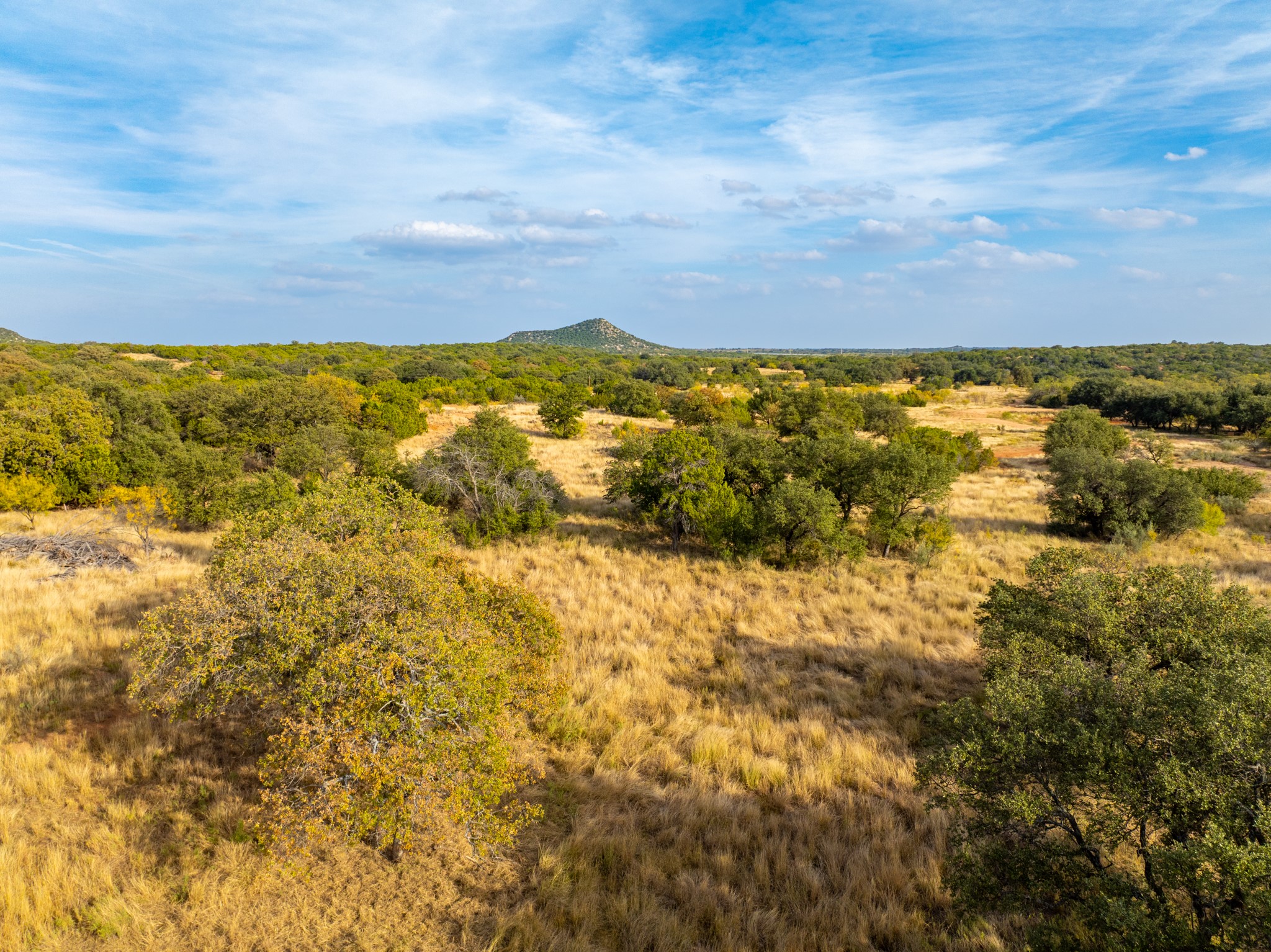 BUFFALO4 Ranch County Road 290 Blackwell TX 79506