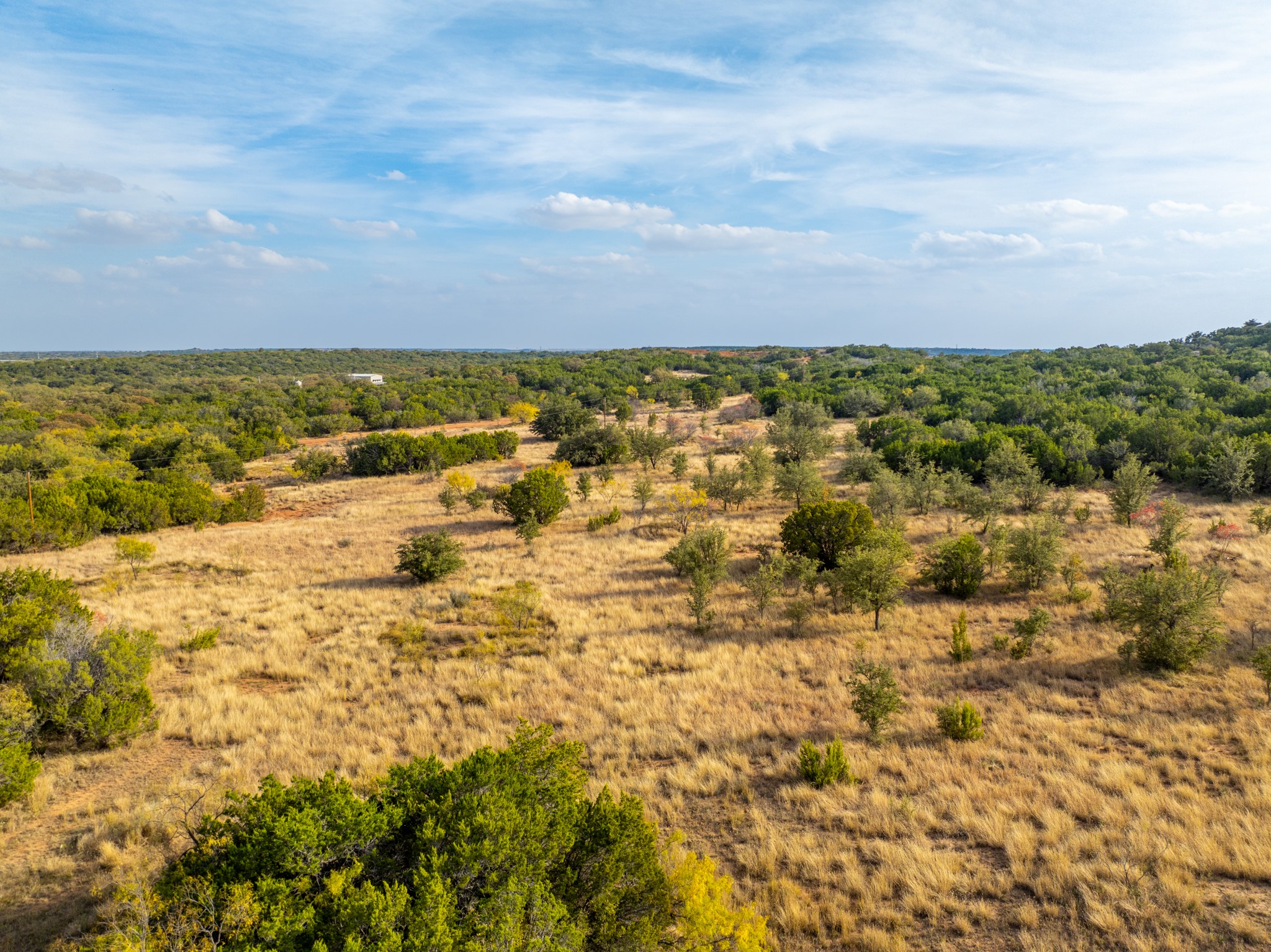 BUFFALO4 Ranch County Road 290 Blackwell TX 79506