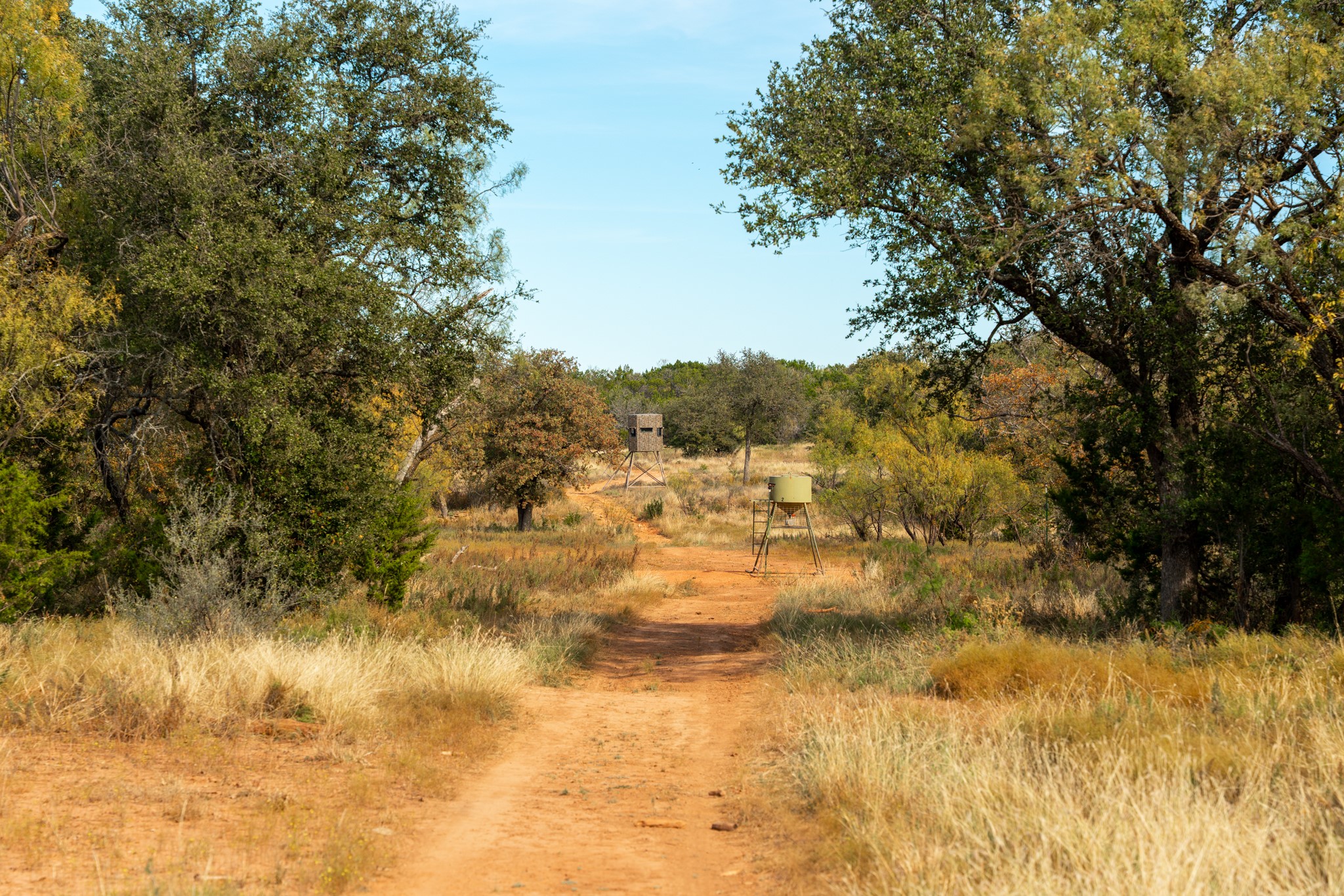 BUFFALO4 Ranch County Road 290 Blackwell TX 79506