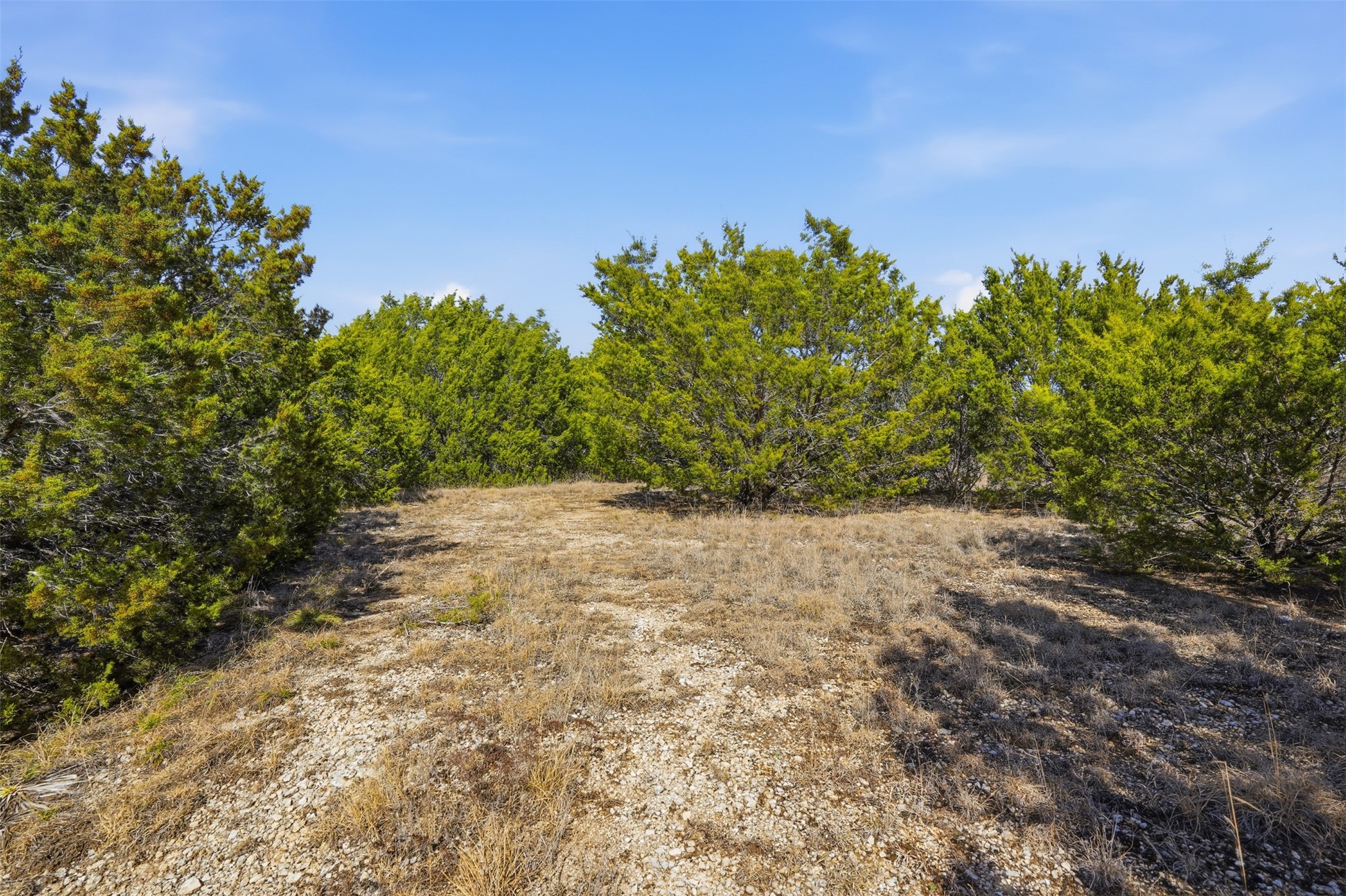 3123 Rio Grande Cresson TX 76035