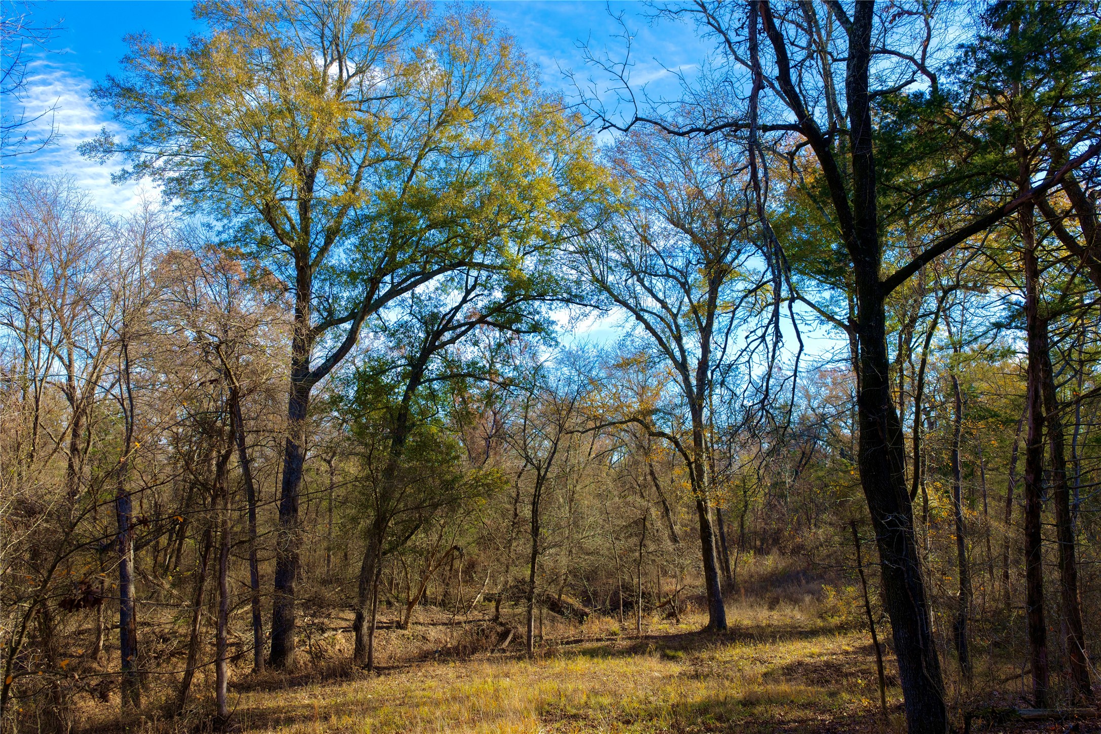 Tbd Fm 197 Arthur City TX 75411
