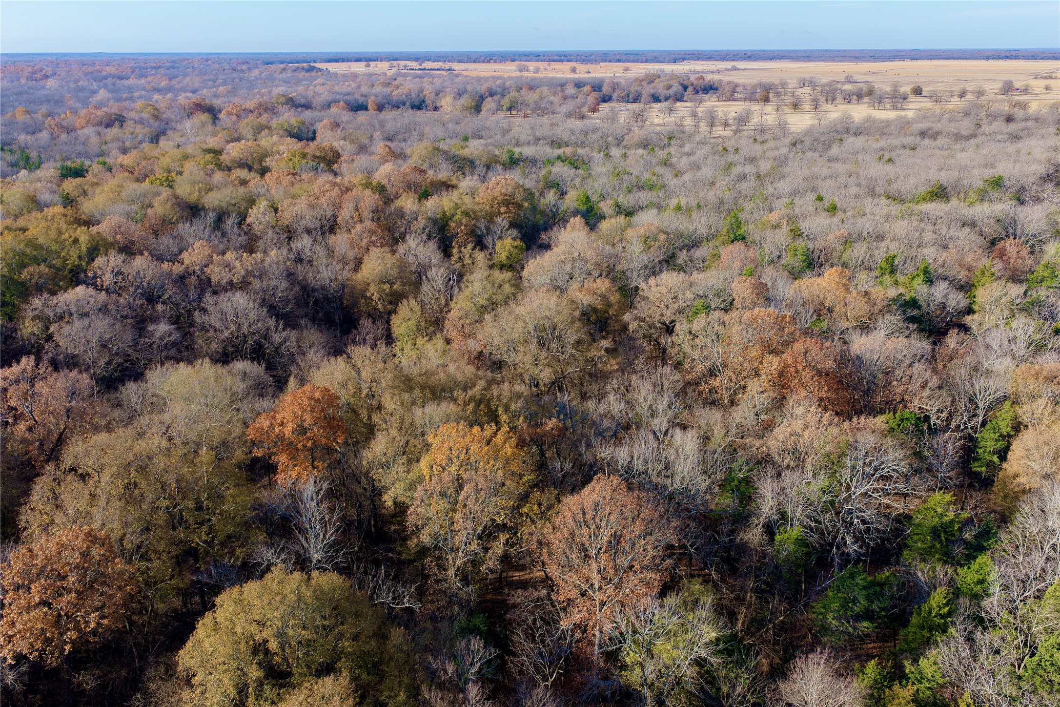 Tbd Fm 197 Arthur City TX 75411