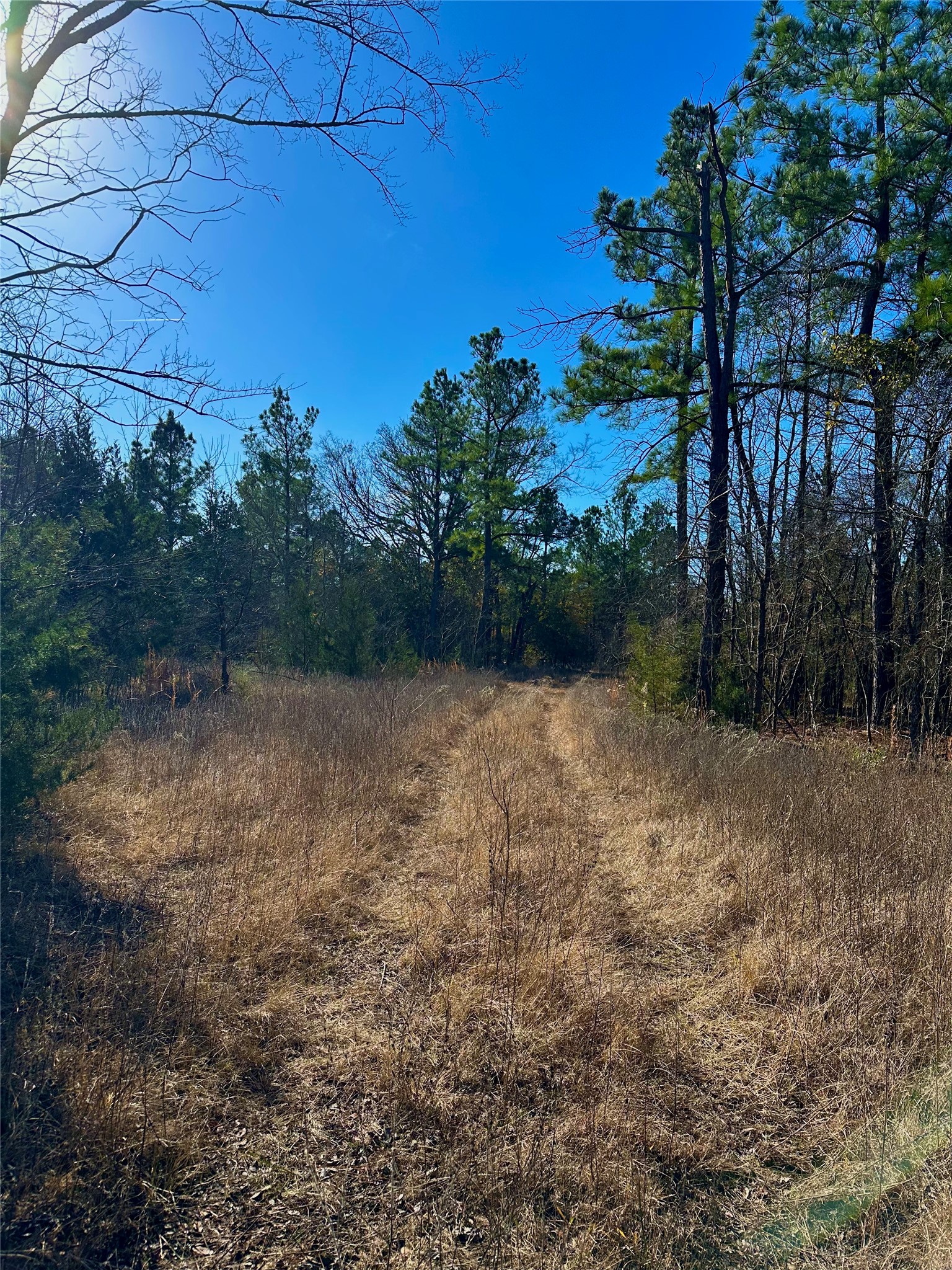 Tbd Fm 197 Arthur City TX 75411