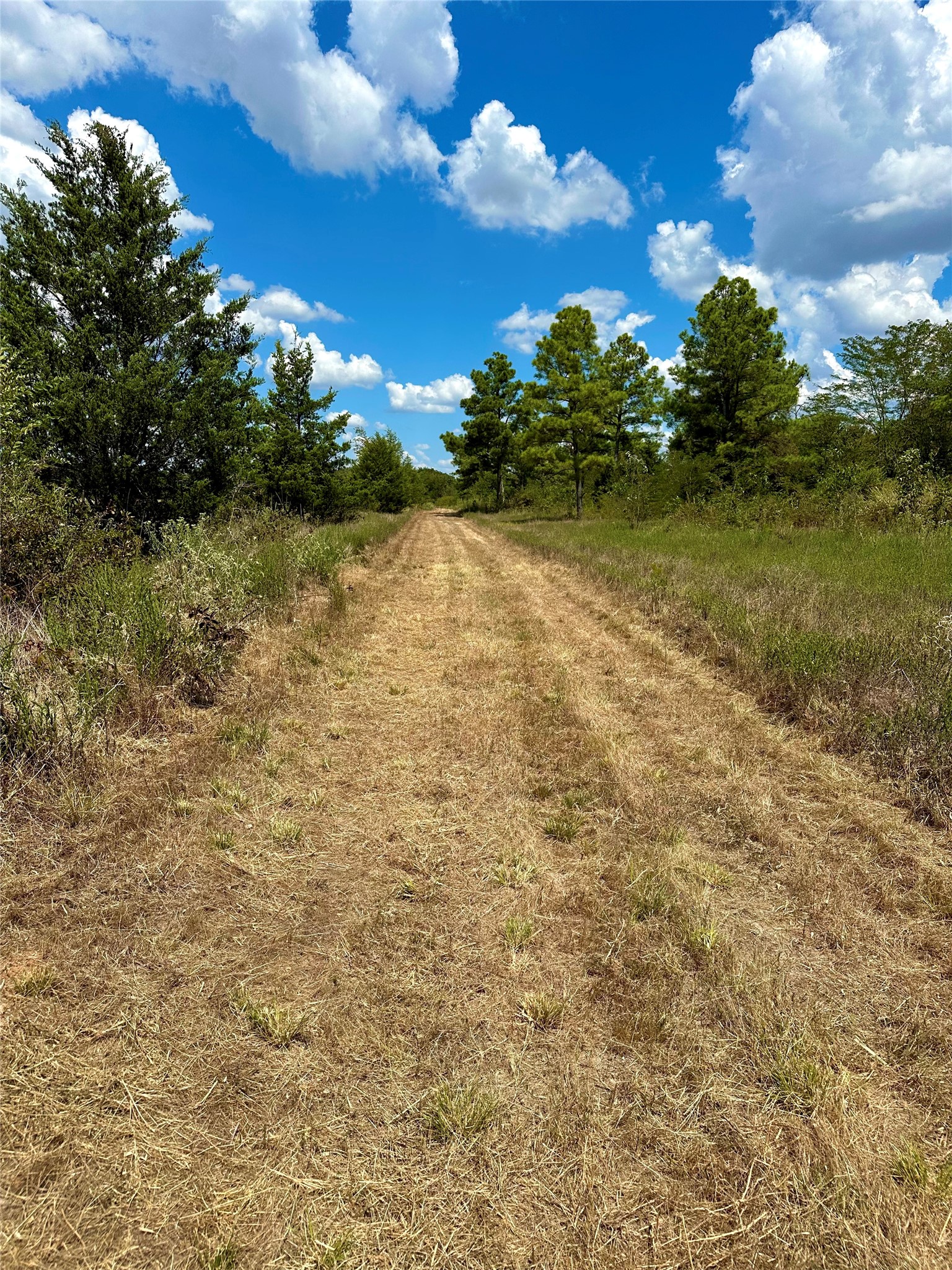 Tbd Fm 197 Arthur City TX 75411