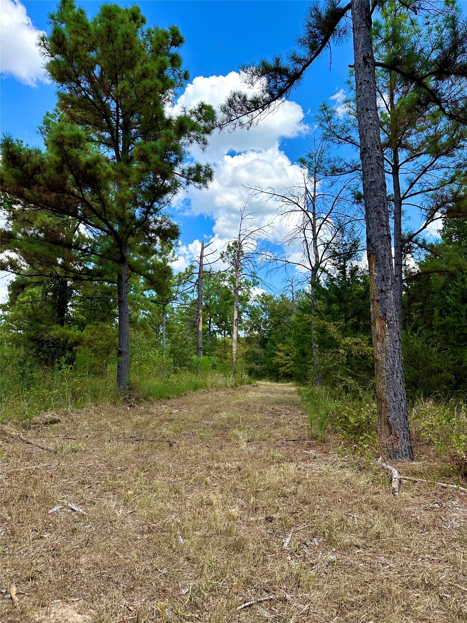 Tbd Fm 197 Arthur City TX 75411
