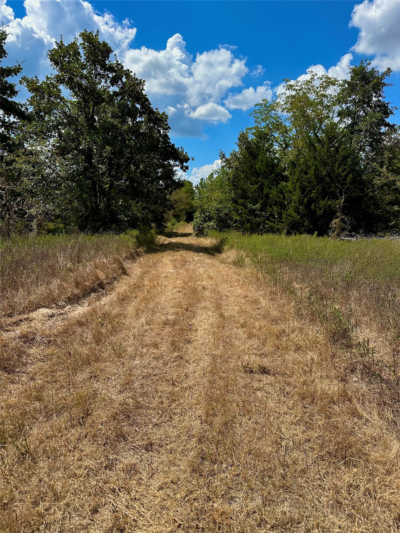 Tbd Fm 197 Arthur City TX 75411