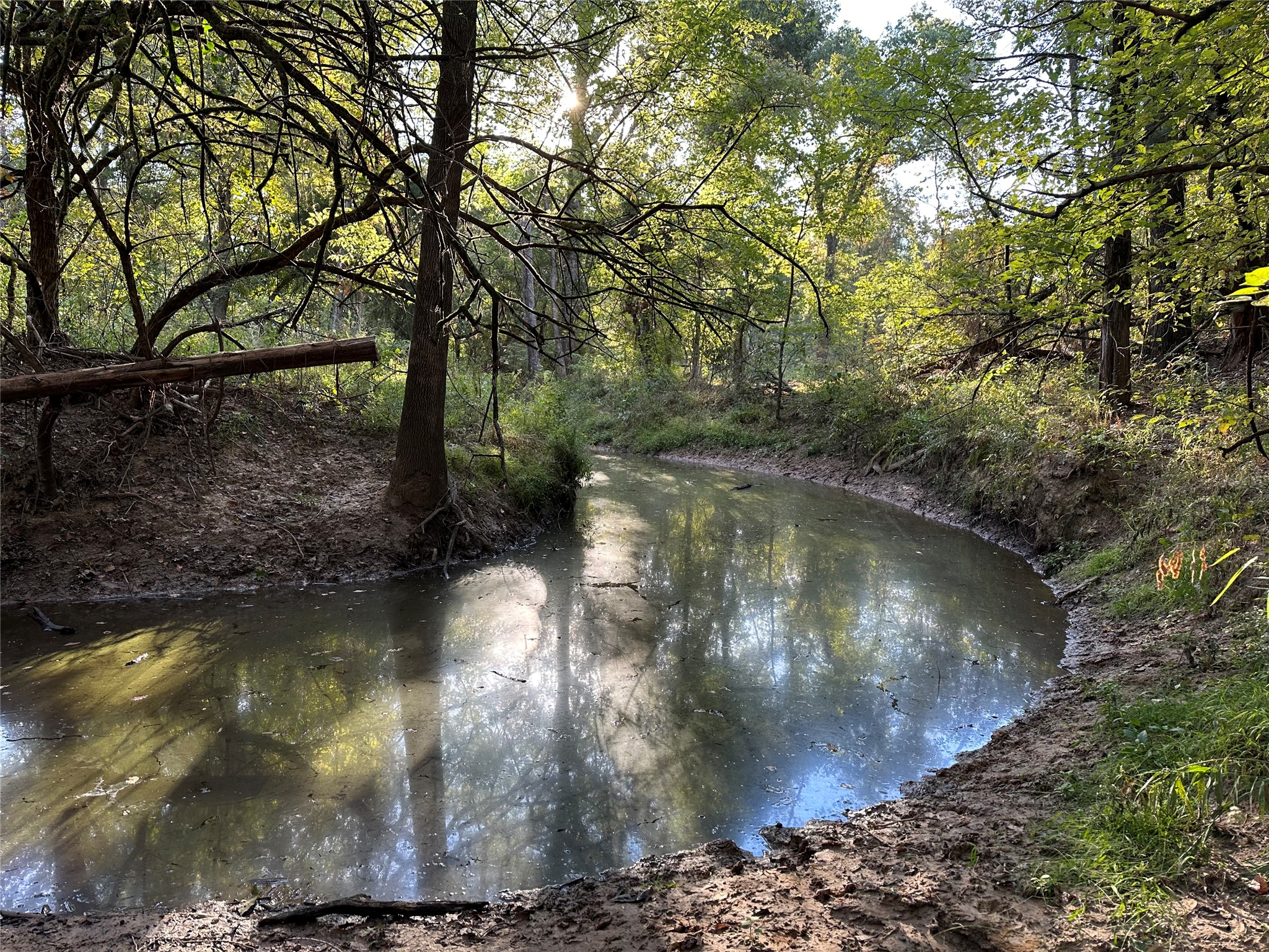 Tbd Fm 197 Arthur City TX 75411