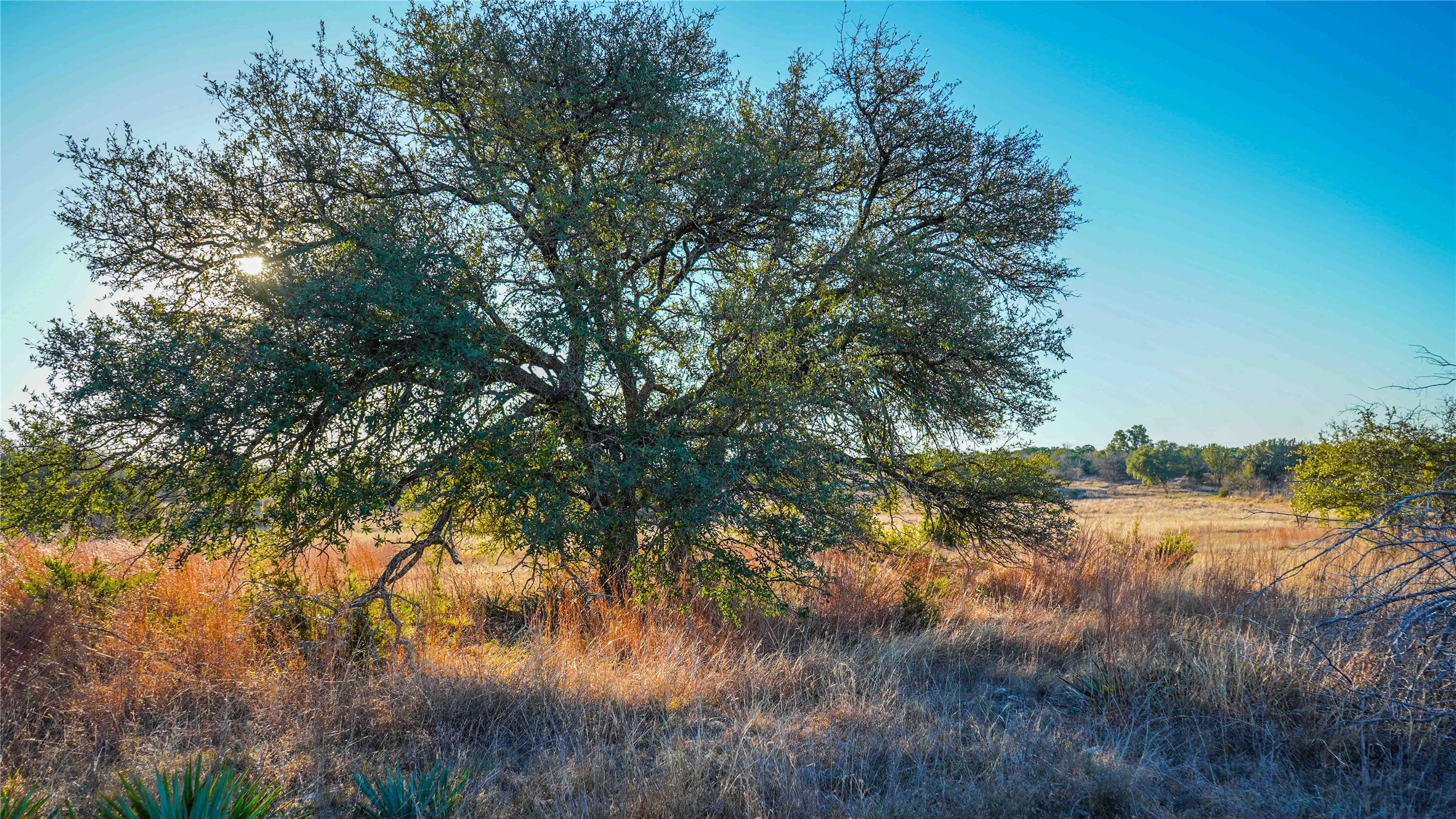 391 County Road 4717 Kempner TX 76539
