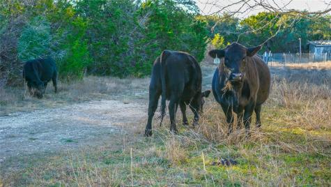 391 County Road 4717 Kempner TX 76539