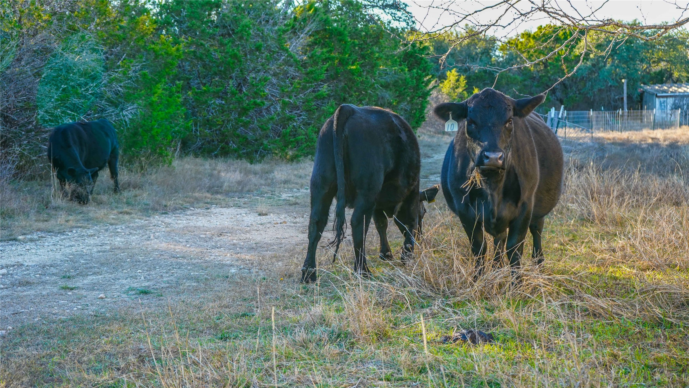 391 County Road 4717 Kempner TX 76539