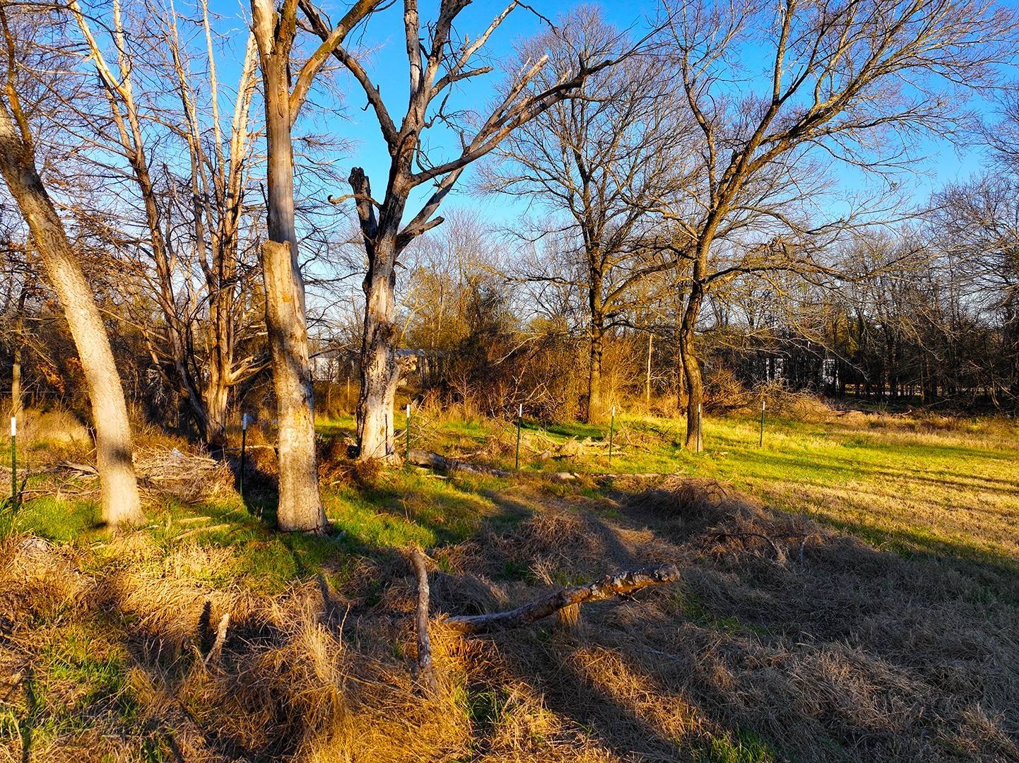Tbd NE Cr 3114 Purdon TX 76679
