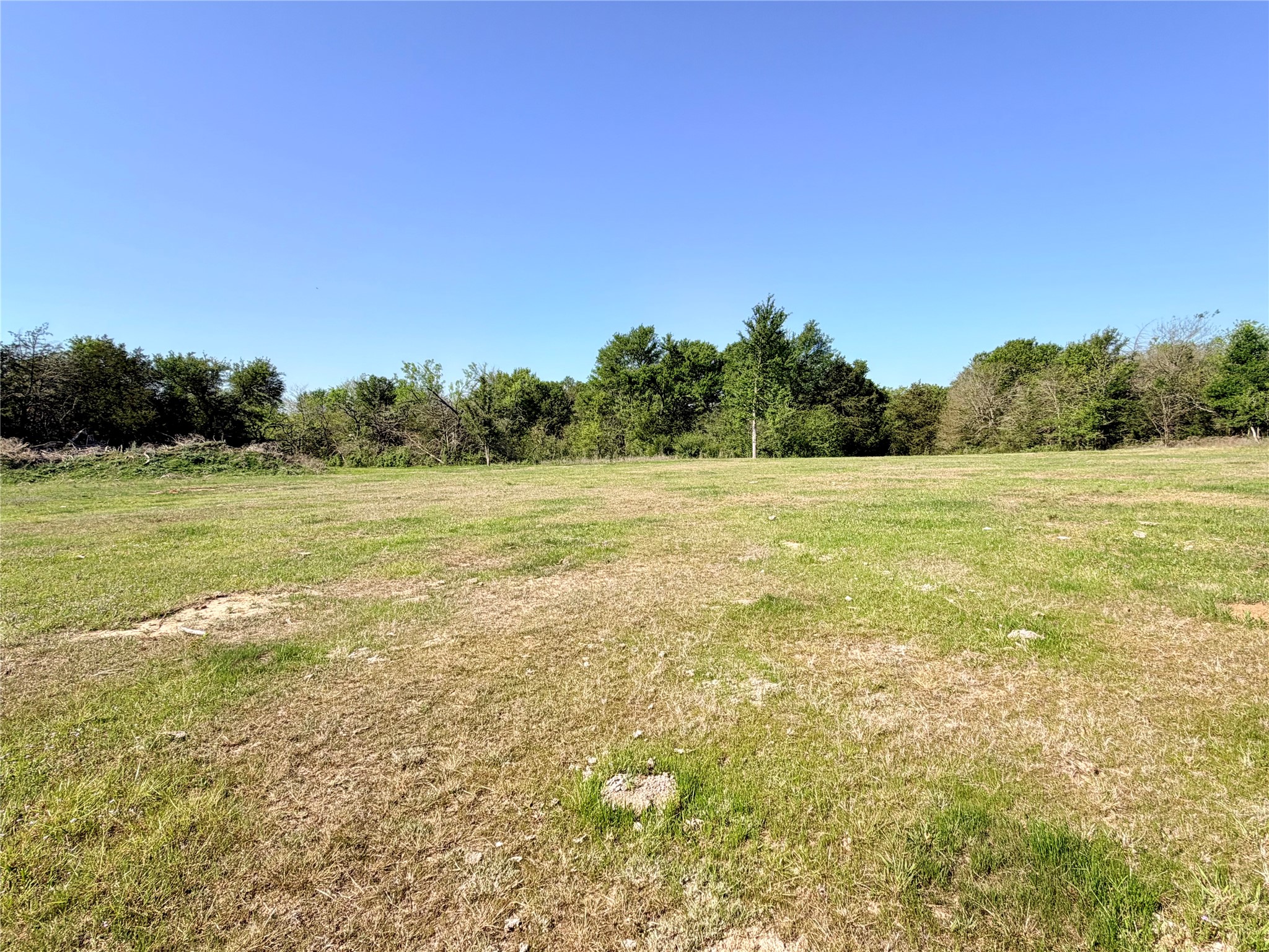 Tbd 213.5 Acs Fcr 984 Mexia TX 76667